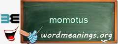 WordMeaning blackboard for momotus